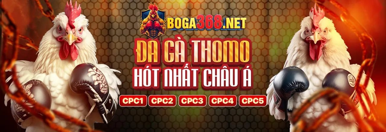 Sới gà trực tuyến Tin99 2026